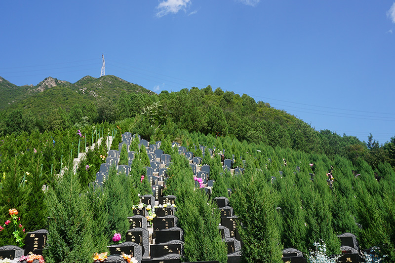 景仰园骨灰林为什么是公认最好的陵园？