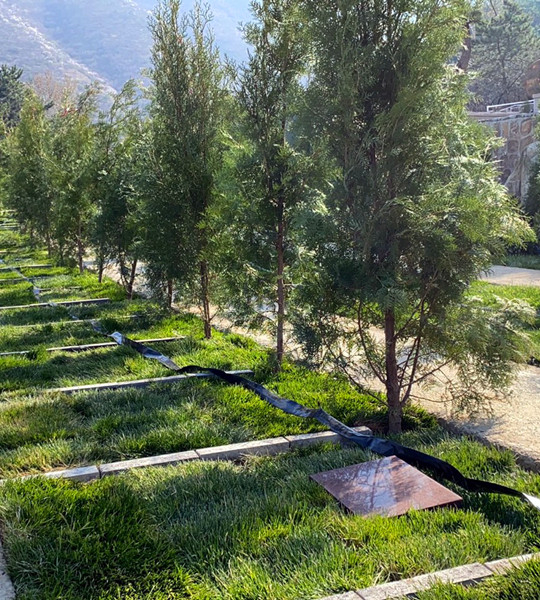 天寿陵园有便宜的墓碑吗？价格如何