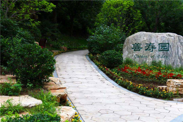 九公山纪念林墓地有多少碑型？