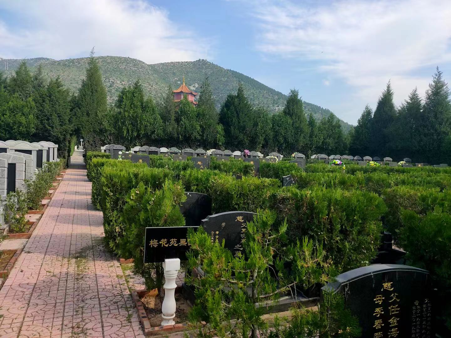 长青园骨灰林的价格是多少？