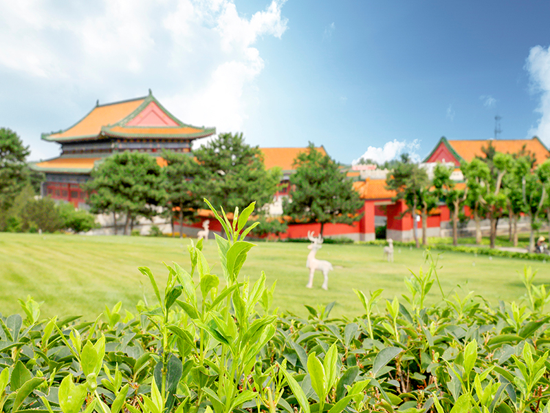 京韵园墓地价格是多少？