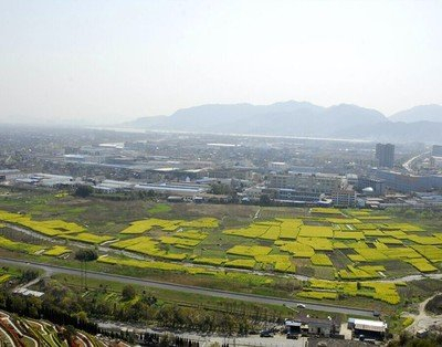 杭州钱江陵园购墓热线，钱江陵园价格