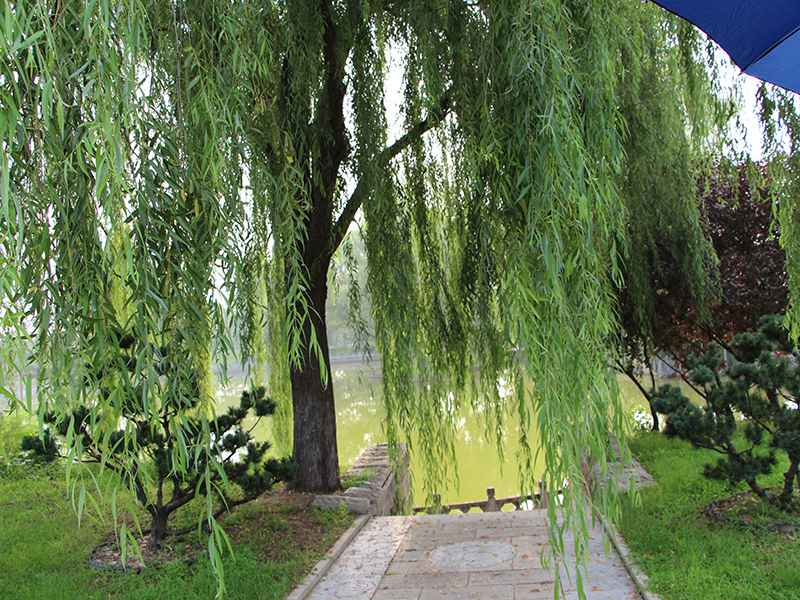 北京天寿陵园墓地价格，天寿陵园是合法的吗