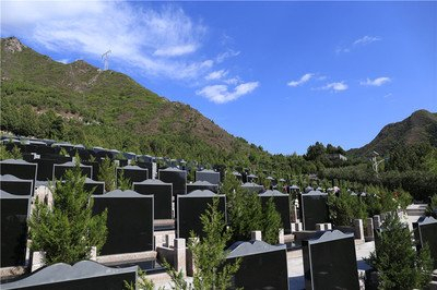天山陵园环境怎么样？天山陵园怎么去？