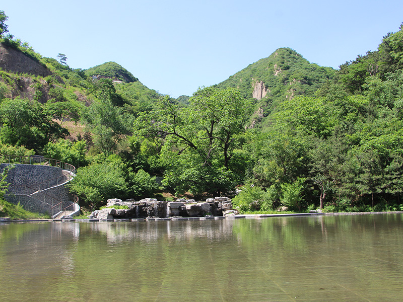 九公山长城纪念林墓区多吗？九公山长城纪念林都有哪些碑型？